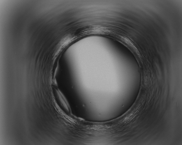 X0000052650938200507160219