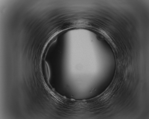 X0000052650939200507160219