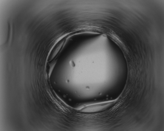 X0000052650940200507160219