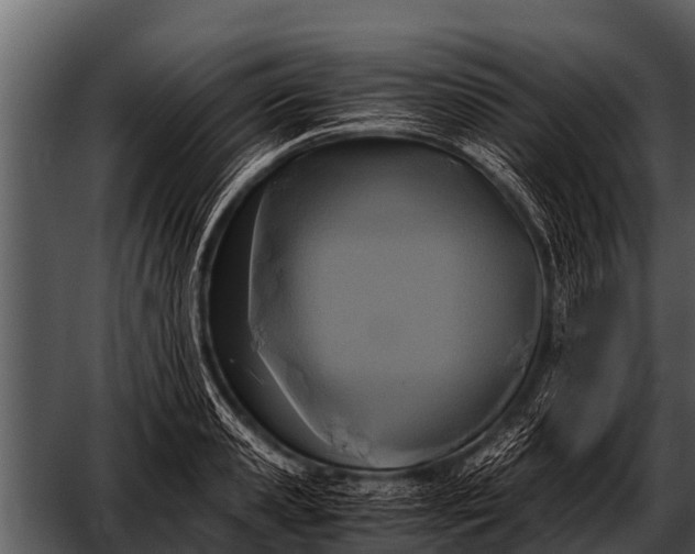 X0000052650941200507160219