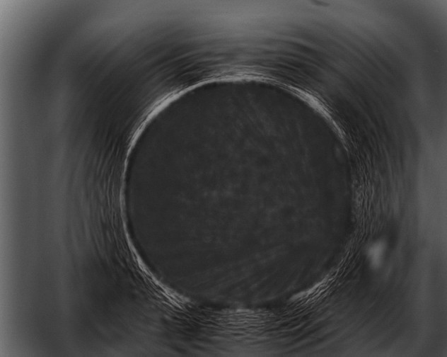 X0000052650943200507160219