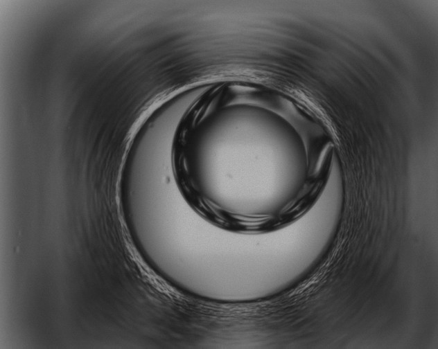 X0000052650944200507160219