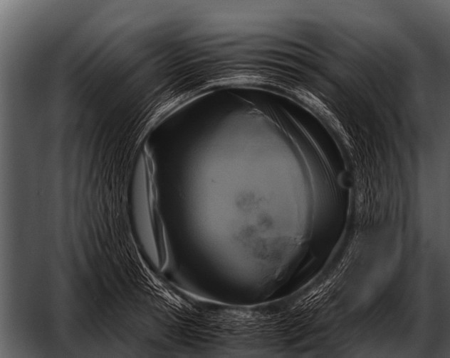 X0000052650945200507160219