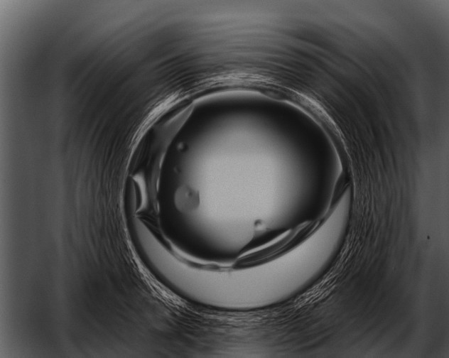 X0000052650946200507160219