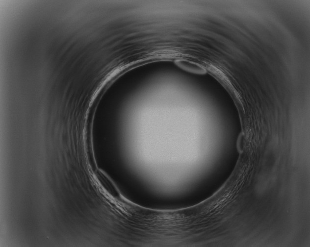 X0000052650947200507160219