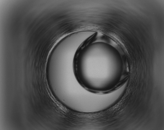 X0000052650948200507160219