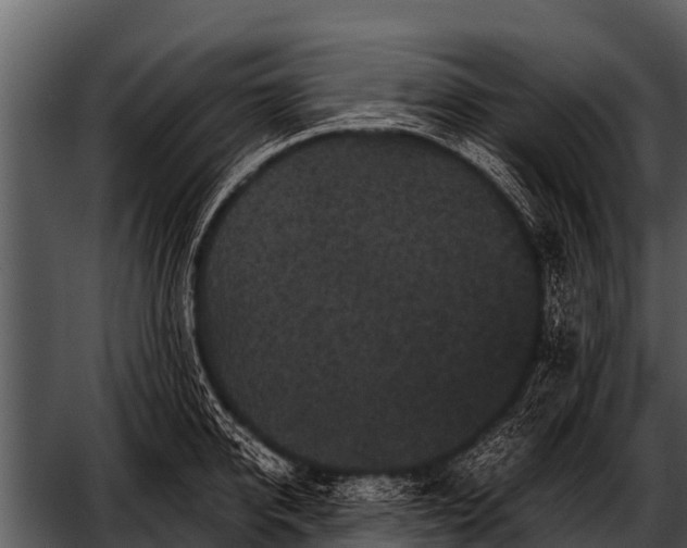 X0000052650950200507160219