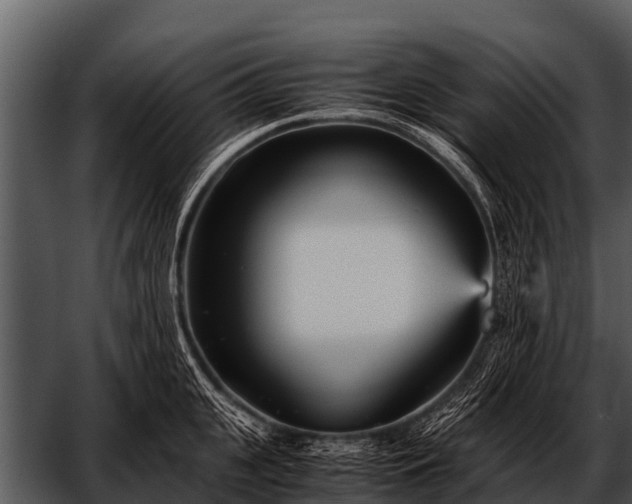 X0000052650951200507160219