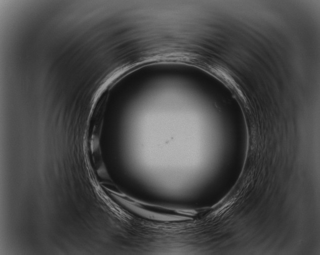 X0000052650952200507160219