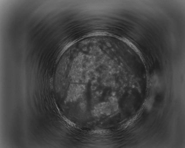 X0000052650953200507160220