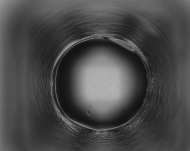 X0000052650955200507160220