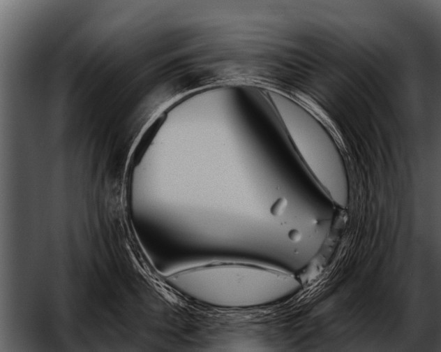 X0000052650956200507160220