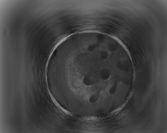 X0000052650957200507160220