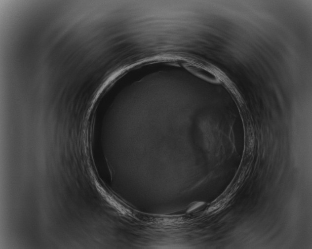 X0000052650958200507160220