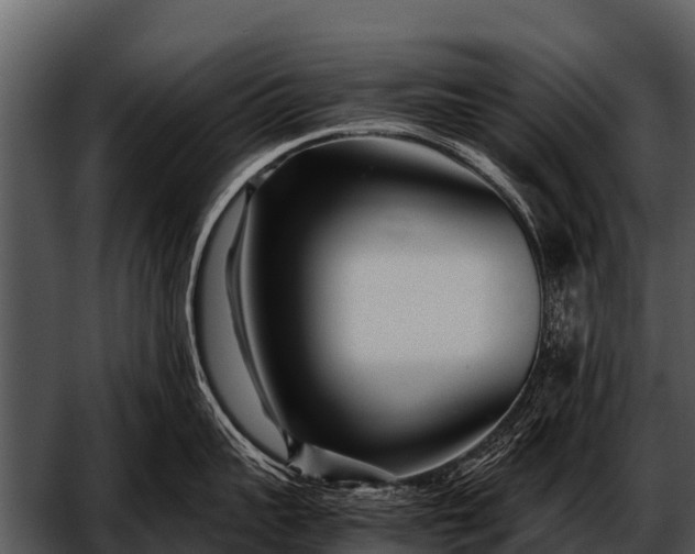 X0000052650959200507160220