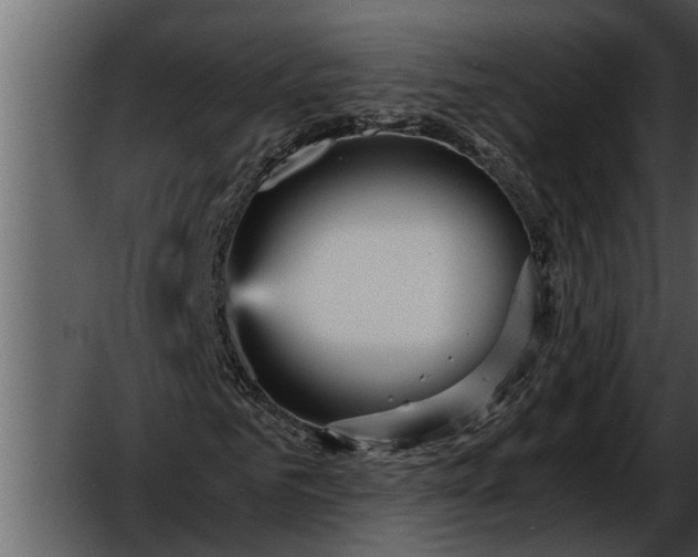 X0000052650961200507160219