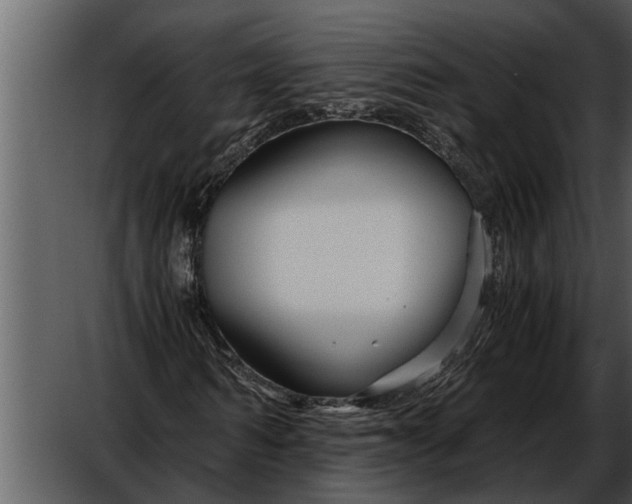 X0000052650962200507160219