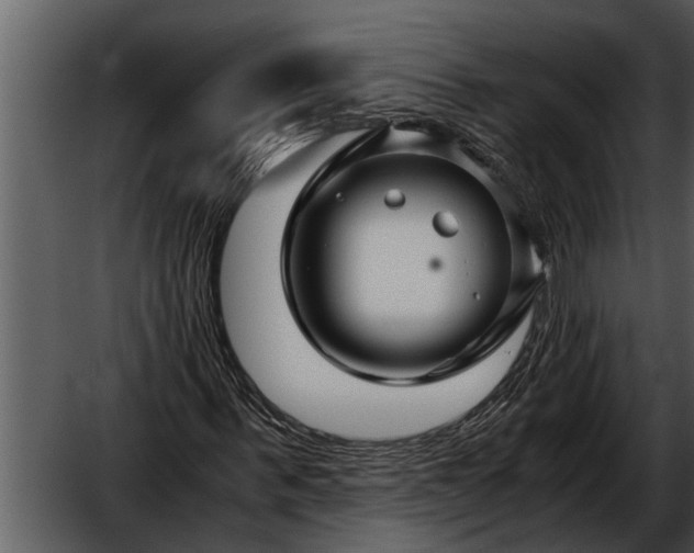 X0000052650963200507160219