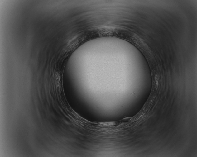 X0000052650964200507160219