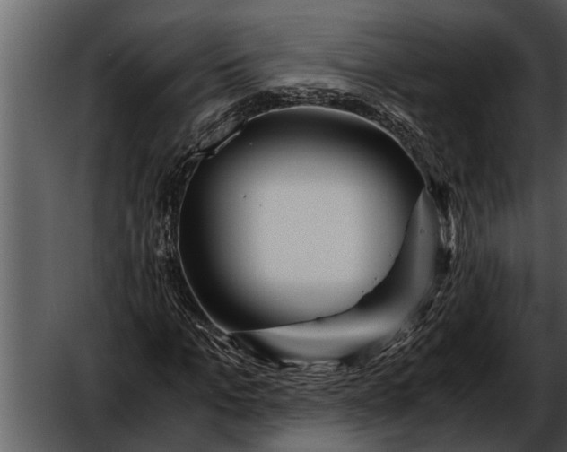 X0000052650965200507160219