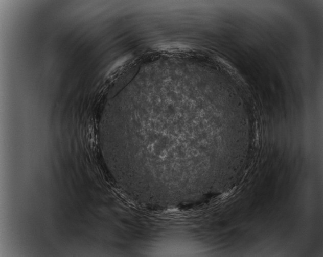 X0000052650966200507160219