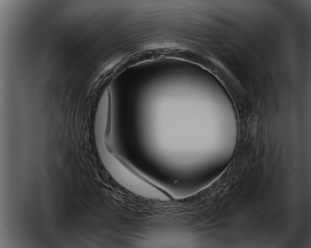 X0000052650967200507160219