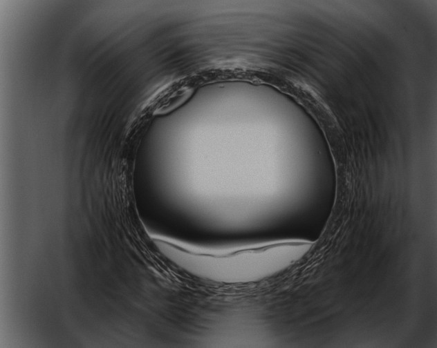 X0000052650968200507160219