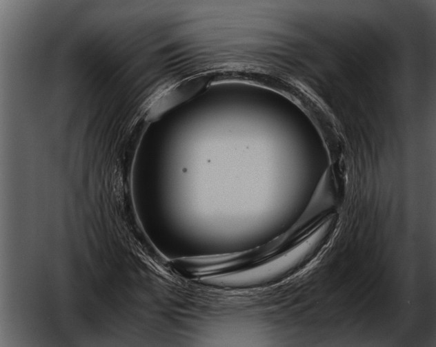 X0000052650969200507160219