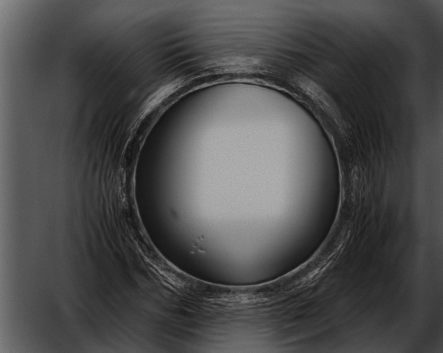 X0000052650970200507160219