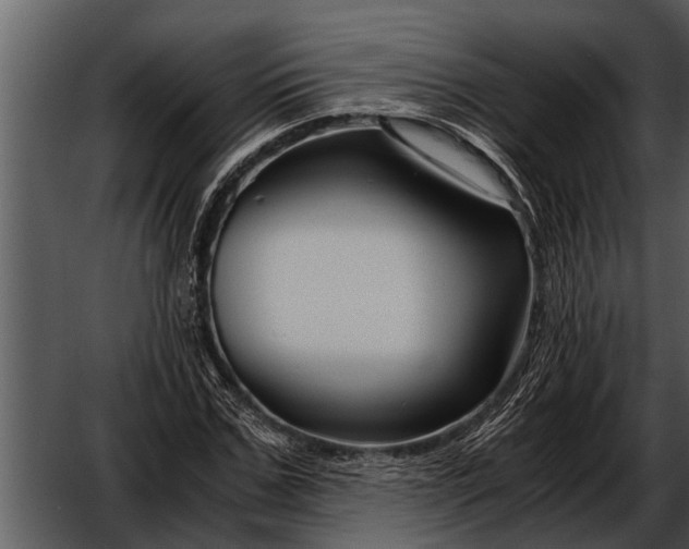 X0000052650971200507160219