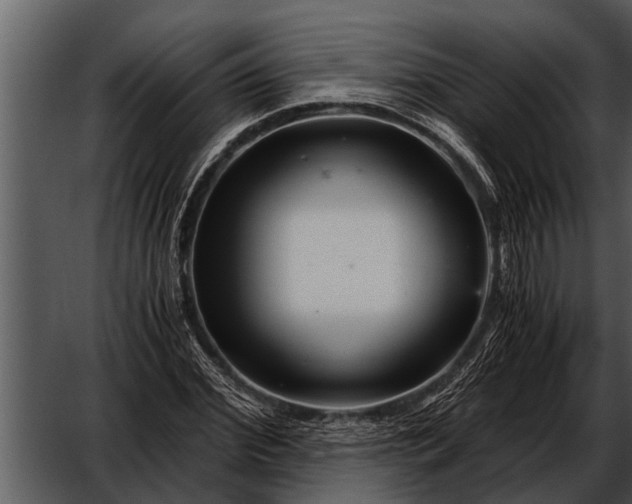 X0000052650972200507160219