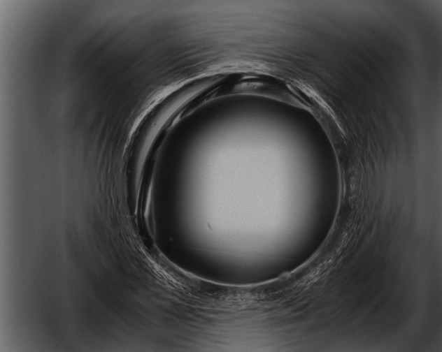 X0000052650973200507160219