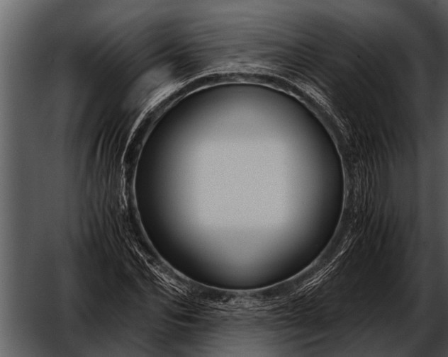 X0000052650974200507160219