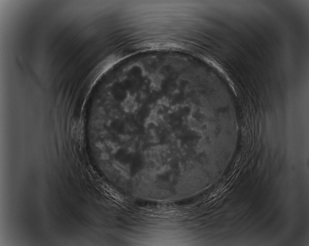 X0000052650975200507160219