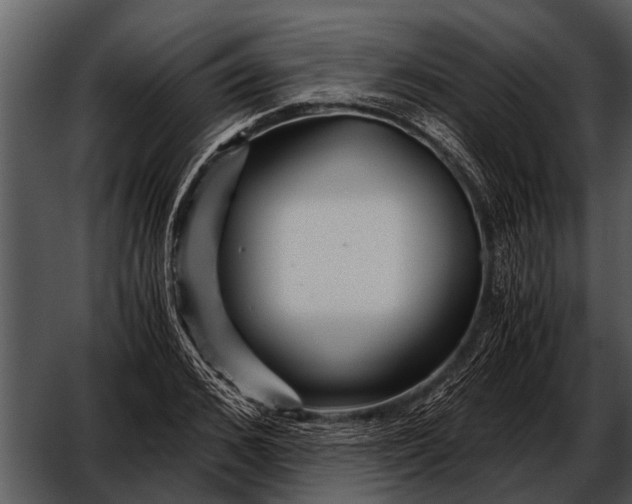 X0000052650976200507160219