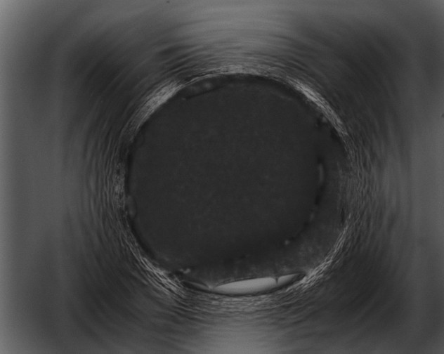 X0000052650977200507160219