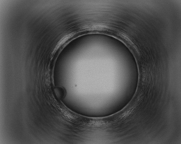 X0000052650978200507160219