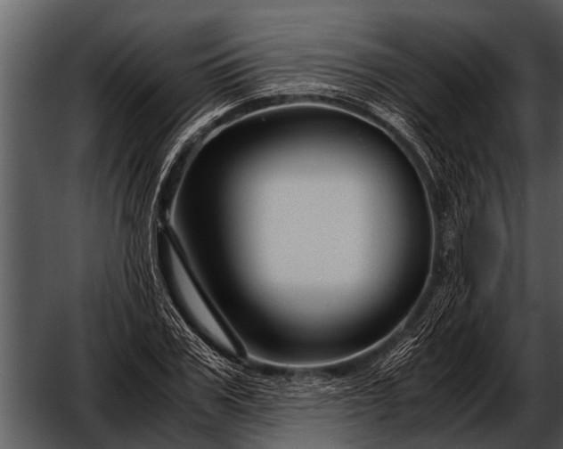 X0000052650979200507160218