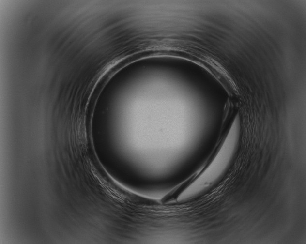 X0000052650980200507160218