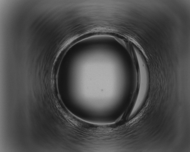 X0000052650981200507160218