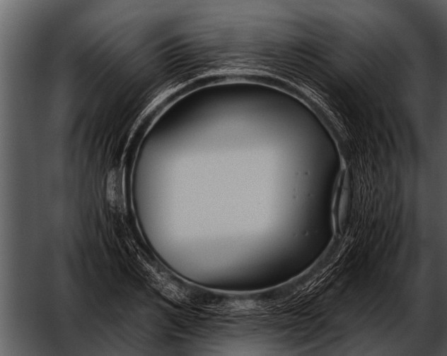 X0000052650982200507160218