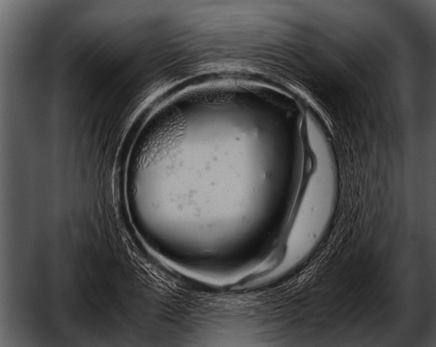 X0000052650983200507160218