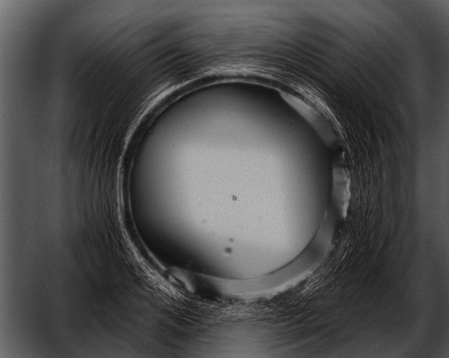 X0000052650984200507160218