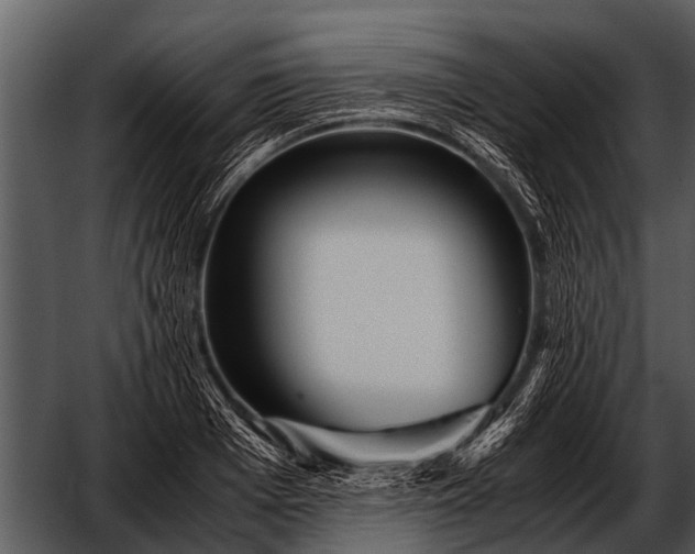 X0000052650985200507160218