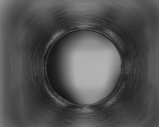 X0000052650986200507160218