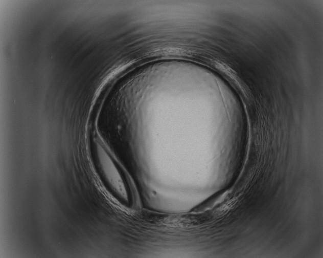 X0000052650987200507160218