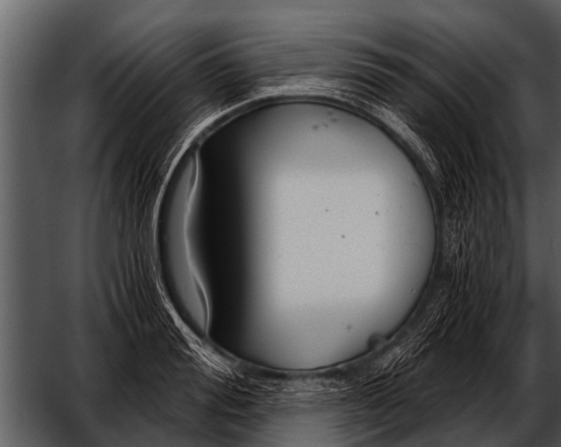 X0000052650988200507160218