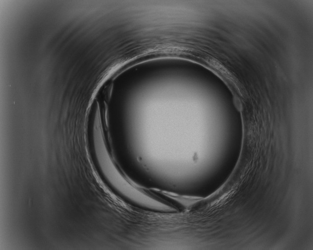 X0000052650989200507160218