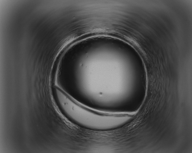 X0000052650991200507160218