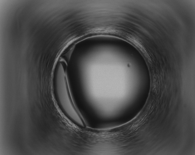 X0000052650992200507160218